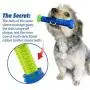 BulbHead Chewbrush Toothbrush Dog Toothbrush and Dog Toy - No Dog Toothpaste Required - Great Dog Teeth Cleaning Toys BulbHead Chewbrush Toothbrush Dog Toothbrush and Dog Toy - No Dog Toothpaste Required - Great Dog Teeth Cleaning Toys