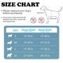 ATOPARK Dog Harness No-Pull Pet Harness Adjustable Comfortable Harness with Handle Outdoor Pet Vest Reflective Oxford Soft Breathable Vest Easy Control for Small Medium Large Dog Grey M