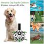 Dog Soccer Ball, Interactive Dog Toys Balls for Large Medium Dogs with Grab Tabs,Rubber Dog Tug/Water Toy for Outdoor,Indestructible Durable Giant Presents Gifts Ball for Small Dogs, 6 Inch