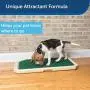PetSafe Piddle Place Bio+ Enzyme Turf Treatment, Dog Waste Odor Eliminator