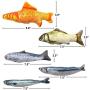 LeRicher Catnip Toys Set Simulation Fish Shape Doll Interactive Pets Pillow Chew Bite Supplies for Cat/Kitty/Kitten Fish Flop Cat Toy Catnip Crinkle Toys 5PCS