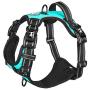 PoyPet 2019 Upgraded No Pull Dog Harness with 4 Snap Buckles, Reflective with Front & Back 2 Leash Hooks and an Easy Control Handle [NO Need Go Over Dog’s Head]