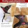 rabbitgoo Dog Harness No Pull, Adjustable Dog Walking Chest Harness with 2 Leash Clips, Comfort Padded Dog Vest Harness with Easy Handle, Reflective Front Body Harness for Small Breeds, Blue Plaid, S rabbitgoo Dog Harness No Pull, Adjustable Dog Walking Chest Harness with 2 Leash Clips, Comfort Padded Dog Vest Harness with Easy Handle, Reflective Front Body Harness for Small Breeds, Blue Plaid, S