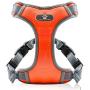 Kangrow Upgrade Dog Harness, No-Choke Vest Harness for Medium Size Dogs, Reflective and Waterproof Design on Exterior, Sturdy Adjustable Straps, Soft & Comfortable Air Mesh Inside (Orange)