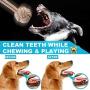 Dog Puppy Rope Toys Dog Chew Toy for Small to Medium Dogs, Interactive Dog Toys Dog Tug Toy Durable Puppy Chew Toy for Teething Pet Toys for Dog Dog Gift Set Dog Puppy Rope Toys Dog Chew Toy for Small to Medium Dogs, Interactive Dog Toys Dog Tug Toy Durable Puppy Chew Toy for Teething Pet Toys for Dog Dog Gift Set