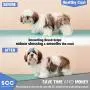 Premium Pet Slicker Brush for Dogs and Cats. Pet Grooming Dematting Brush Effectively and Effortlessly Shedding Mats, Removes Tangles, Dander, Dirt, Loose Fur by Up to 95% for Short or Long Hair. Premium Pet Slicker Brush for Dogs and Cats. Pet Grooming Dematting Brush Effectively and Effortlessly Shedding Mats, Removes Tangles, Dander, Dirt, Loose Fur by Up to 95% for Short or Long Hair.