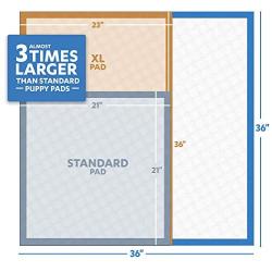 OUT! MonsterPads | 7 Layer Quilted Dog Pad Absorbing Over 8 Cups of Liquid | 60 Pads 36 x 36 (1030738)