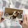 SKYMEE Owl Robot: Mobile Full HD Pet Camera with Treat Dispenser, Interactive Toy for Dogs and Cats, Remote Control via App (2.4G WiFi ONLY) SKYMEE Owl Robot: Mobile Full HD Pet Camera with Treat Dispenser, Interactive Toy for Dogs and Cats, Remote Control via App (2.4G WiFi ONLY)