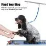 3 Pieces Dog Seat Belt Harness Dog Seat Belt Adjustable Elastic Pet Dog Car Seatbelt Vehicle Car Seatbelt Harness for Pets with Elastic Nylon Bungee Buffer for Shock Attenuation 3 Pieces Dog Seat Belt Harness Dog Seat Belt Adjustable Elastic Pet Dog Car Seatbelt Vehicle Car Seatbelt Harness for Pets with Elastic Nylon Bungee Buffer for Shock Attenuation