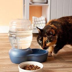 Petmate Replendish Gravity Waterer With Microban for Cats and Dogs, 1 Gallon