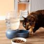 Petmate Replendish Gravity Waterer With Microban for Cats and Dogs, 2.5 Gallons