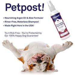 Petpost | Waterless Argan Shampoo Spray for Dogs with Sensitive Skin - Naturally Nourishing Coat Cleaner & Deodorizer for Healthier, Shinier Fur - Rinse Free Formula