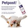 Petpost | Waterless Argan Shampoo Spray for Dogs with Sensitive Skin - Naturally Nourishing Coat Cleaner & Deodorizer for Healthier, Shinier Fur - Rinse Free Formula