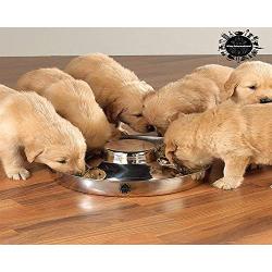 King International Stainless Steel Dog Bowl 3 Puppy Litter Food Feeding Weaning|SilverStainless Dog Bowl Dish| Set of 3 Pieces | 29 cm - for Small/Medium/Large Dogs, Pets Feeder Bowl and Water Bowl