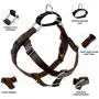 2 Hounds Design Freedom No Pull Dog Harness | Adjustable Gentle Comfortable Control for Easy Dog Walking |for Small Medium and Large Dogs | Made in USA | Leash Included 2 Hounds Design Freedom No Pull Dog Harness | Adjustable Gentle Comfortable Control for Easy Dog Walking |for Small Medium and Large Dogs | Made in USA | Leash Included