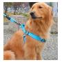 Hamour Dog Leash Set Adjustable Vest Harness with Padded Handle for Small Medium Large Dog Walking Running Training
