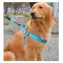 Hamour Dog Leash Set Adjustable Vest Harness with Padded Handle for Small Medium Large Dog Walking Running Training Hamour Dog Leash Set Adjustable Vest Harness with Padded Handle for Small Medium Large Dog Walking Running Training