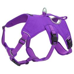 Best Pet Supplies Voyager Padded and Breathable Control Dog Walking Harness for Big/Active Dogs