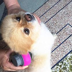 Kuntrona Dog Massage Roller Ball Toy All-Over Handheld Comb Hair Remover Dog Brush Tool for Long Hair Dogs Cat Pet Accessories