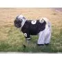 Dog Gone Cute by Lous Doggie Boutique 4 Piece Football Costume (Jersey, Pants, Helmet and Toy Ball)-Extra Small (XS)