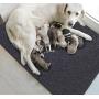 Sensko Whelping Box Liner Mat，Non-Slip Dog Pads，Washable Puppy Pads with Fast Absorbent—Protective Floor，Reusable，Premium Absorbent Urine pet Mat，Cuttable and Foldable (36''×47.6'')