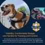 Service Dog Vest Harness - Military Grade Assistance Dog Harness with Removable Reflective Patches - Comfortable & Safe - Handle for Maximum Training, Walking Control (Free ADA Card Download)