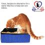 Pet Fit For Life Collapsible Portable Litter Box and Bonus Pet Fit For Life Collapsible Water Bowl