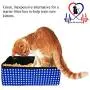 Pet Fit For Life Collapsible Portable Litter Box and Bonus Pet Fit For Life Collapsible Water Bowl