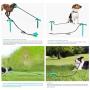 Genetic Los Angeles Dog Stake for Yard, Dog Tie Out Cable with Chew Toy, Great fo Dogs Up to 120 lbs, Great for Dog Camping or The Garden, Suitable for Harness, Leash & Chain Attachments