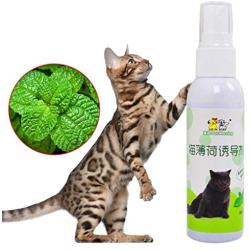 MOMU Cat Catnip Pet Training Toy Natural Healthy Cat Mint Funny Scratch Toy Spray