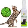 MOMU Cat Catnip Pet Training Toy Natural Healthy Cat Mint Funny Scratch Toy Spray