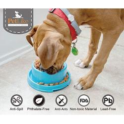 PetLike Dog Bowls Pet Food Bowls, No Spill Cat Food Bowl Water Food Feeder Pet Dishes for Cat Puppies Small Dogs