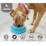 PetLike Dog Bowls Pet Food Bowls, No Spill Cat Food Bowl Water Food Feeder Pet Dishes for Cat Puppies Small Dogs PetLike Dog Bowls Pet Food Bowls, No Spill Cat Food Bowl Water Food Feeder Pet Dishes for Cat Puppies Small Dogs