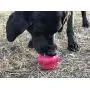 SodaPup - Durable Rubber Cup Cake Treat Dispenser Chew Toy Treat Dispenser Fetch Toy Slow Feeder Made in USA for Aggressive Chewers