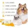 Dhohoo Cat Dog Wipes Natural Safe Ingredients, Premium Clean Deodorize Kitten Puppy Dog Wipes for Pet Paw Eye Stains Ear Coat, Extra Strong Soft Portable Dog Cat Cleaning Wipes- 80 PCS/Pack Dhohoo Cat Dog Wipes Natural Safe Ingredients, Premium Clean Deodorize Kitten Puppy Dog Wipes for Pet Paw Eye Stains Ear Coat, Extra Strong Soft Portable Dog Cat Cleaning Wipes- 80 PCS/Pack