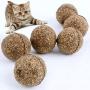 5pcs/pack Cat Natural Catnip Edible Ball Mint Toy for Cat Kitten Treating Menthol Flavor Cat Kitten Toys Pet Cat Supplies