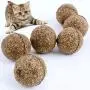 5pcs/pack Cat Natural Catnip Edible Ball Mint Toy for Cat Kitten Treating Menthol Flavor Cat Kitten Toys Pet Cat Supplies 5pcs/pack Cat Natural Catnip Edible Ball Mint Toy for Cat Kitten Treating Menthol Flavor Cat Kitten Toys Pet Cat Supplies