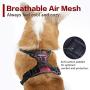 rabbitgoo Dog Harness No Pull, Adjustable Dog Walking Chest Harness with 2 Leash Clips, Comfort Padded Dog Vest Harness with Easy Handle, Reflective Front Body Harness for Small Breeds, Blue Plaid, S