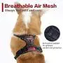 rabbitgoo Dog Harness No Pull, Adjustable Dog Walking Chest Harness with 2 Leash Clips, Comfort Padded Dog Vest Harness with Easy Handle, Reflective Front Body Harness for Small Breeds, Blue Plaid, S rabbitgoo Dog Harness No Pull, Adjustable Dog Walking Chest Harness with 2 Leash Clips, Comfort Padded Dog Vest Harness with Easy Handle, Reflective Front Body Harness for Small Breeds, Blue Plaid, S