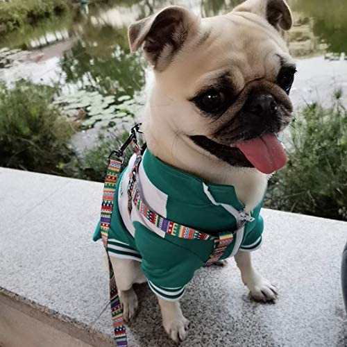 Dog Harness for Small Dogs with Leash Easy Walk No Pull Soft Comfortable Fabric Geometric Pattern (L（Width 0.98'' Chest 21.6-30.7'' 58-74lb）, Geometric Pattern)