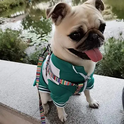 Dog Harness for Small Dogs with Leash Easy Walk No Pull Soft Comfortable Fabric Geometric Pattern (L(Width 0.98'' Chest 21.6-30.7'' 58-74lb), Geometric Pattern) Dog Harness for Small Dogs with Leash Easy Walk No Pull Soft Comfortable Fabric Geometric Pattern (L(Width 0.98'' Chest 21.6-30.7'' 58-74lb), Geometric Pattern)