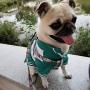 Dog Harness for Small Dogs with Leash Easy Walk No Pull Soft Comfortable Fabric Geometric Pattern (L（Width 0.98'' Chest 21.6-30.7'' 58-74lb）, Geometric Pattern)