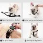 BabyHomder Night Reflective Leash and Harness 4 PCs Nylon Braided Heavy Duty 5ft Leash Adjustable Harness for Small Medium Dogs (Black and Green togather) BabyHomder Night Reflective Leash and Harness 4 PCs Nylon Braided Heavy Duty 5ft Leash Adjustable Harness for Small Medium Dogs (Black and Green togather)