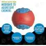 Hero Outer Armor, Durable Ball Dog Toy, Floats & Squeaks