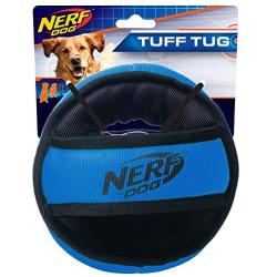 Nerf Dog Chewable Ball Dog Toy with Interactive X-Ring Design, Lightweight, Durable and Water Resistant, 6.5 Inch Diameter for Medium/Large Breeds, Single Unit, Blue