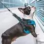 Gooby Dog Harness - Escape Free Sport Patented Step-in Neoprene Small Dog Harness - Perfect on The Go Four-Point Adjustable Harness for Small Dogs or Cat Harness