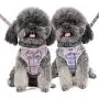 Forestpaw Adjustable Pet Mesh Vest Harness with Leash for Puppy Small Medium Dog and Cat Pink/Blue,S/M,Poodle,Chihuahua,Jack Russell,Pug