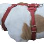 Genuine Leather Dog Harness, 37''-45'' Chest, 1'' Wide Straps. XXLarge. Newfoundland, Great Dane