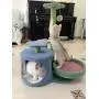 CoutureBridal Cat Tree Multi Level Flower Cat Towel with Scratching Post Cat Kitten Activity Center Play House Entertainment Furniture