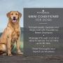 EQUIDERMA Barn Dog Conditioner with Neem and Castor Oil, Pet Grooming Supplies